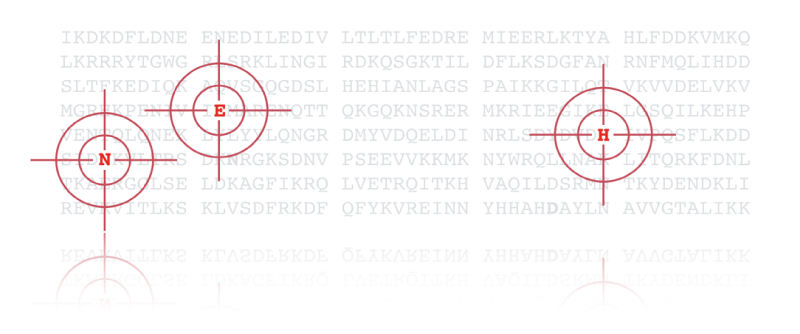 Sequence-and-Targets-pic